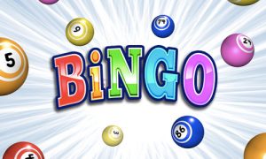 Play BINGO! on PC