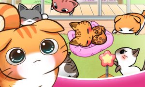 cat room cute hints tricks