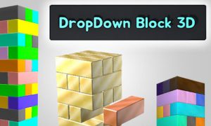 Play DropDown Block 3D on PC