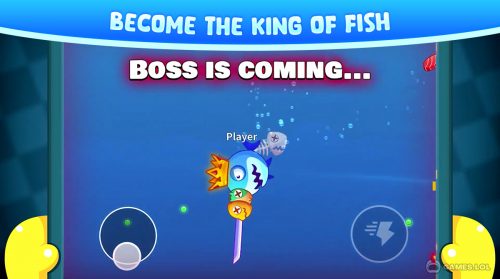 fish io gameplay on pc