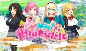 Play Moe! Ninja Girls/Sexy School on PC