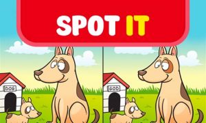 Play Spot it: Find the Difference on PC