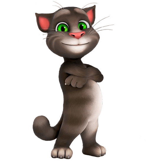 My Talking Tom Crossed Arms